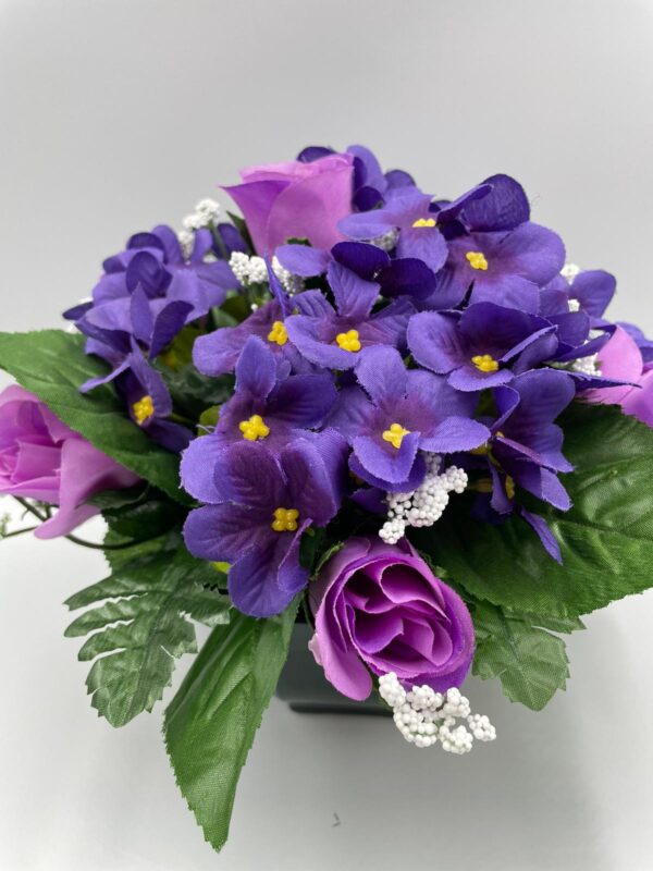 Gypsophiles - Violettes - Rose